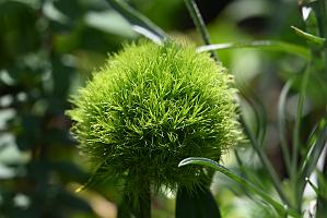 2025-06219096 Tower Hill Botanic Garden, MA
